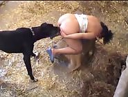 Babe finds a distant farm nook to fuck with a dog